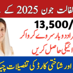 BISP 8171 Result Check Online by CNIC – Ehsaas Program 2025