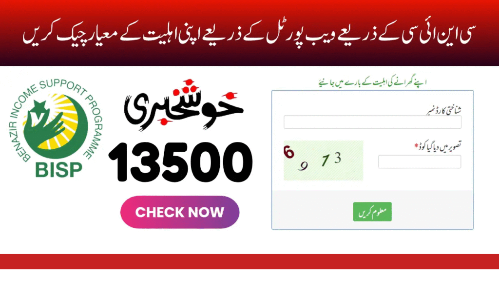 How to Check Ehsaas Program Status in 2025