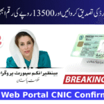 8171 Web Portal CNIC Confirmation For New 13500 June Installment 2025