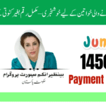 BISP June 2025 Payment Details for Newly Registered Women – Get Rs. 14,500 Assistance