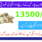 BISP جون 2025 کی قسط چیک کرنے کا آسان طریقہ – 8171 ویب پورٹل مکمل گائیڈ