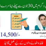 BISP Re-Survey Mandatory Before 30 June 2025 Full Guide for Beneficiaries