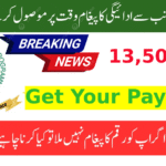 How to Update Your Phone Number in BISP to Receive 13500 Payment SMS from 8171