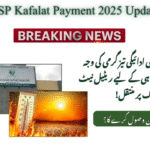 BISP Shifts to Retail Network for Fourth Quarter Qist Amid High Heatwave
