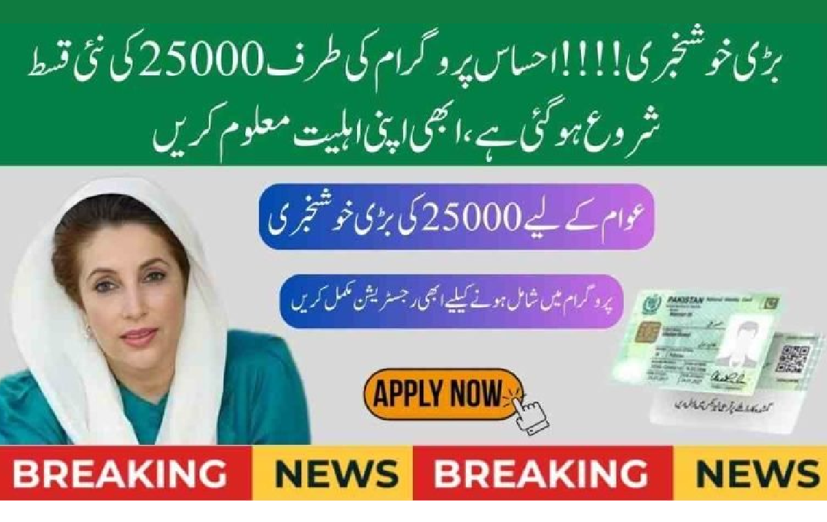 Complete Guide to the 8171 Web Portal 25000 | Your Easy Way to Access Ehsaas and BISP Payments