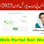 اگر BISP ویب پورٹل بند ہے؟ جون کی قسط کے لیے CNIC چیک کرنے کے آسان طریقے