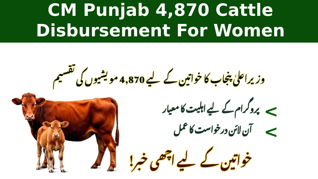 What is the CM Punjab 4,870 Cattle Disbursement For Women