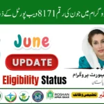 CUsersLENOVODownloadsBISP-8171-Portal-June-2025-–-CNIC-Verification-and-13500-Eligibility-Check-1.webp