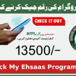 How to Do I Check My Ehsaas Program CNIC