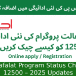 BISP Kafalat Program Status Check for 12500 – 2025 Updates