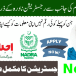Complete Guide to Ehsaas Program Registration 8171 NADRA in 2025