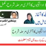 Ehsaas 8171 Web Portal – Full Guide 2025 (Online CNIC Check & Registration)