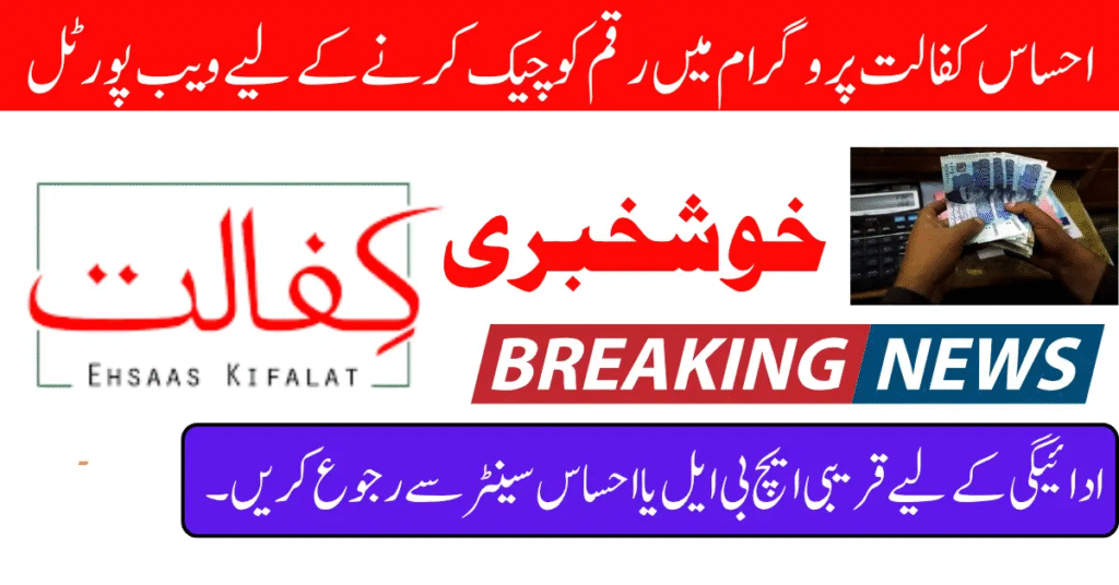 Ehsaas Kafalat Payment Check Through 8171 Portal And SMS Know Full Details Step By Step