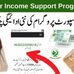 Need to Know About the 8171 Ehsaas Program 25000 BISP News