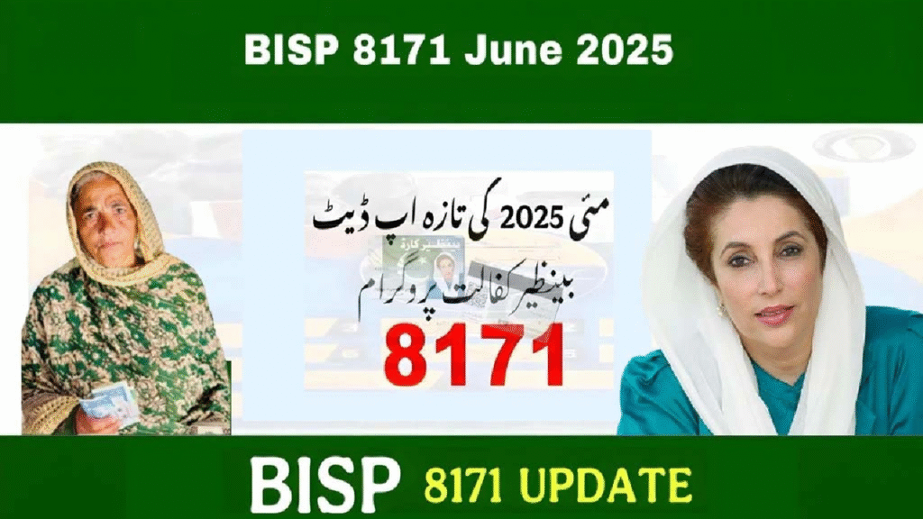 Ultimate Guide to BISP CNIC Check Online June 2025