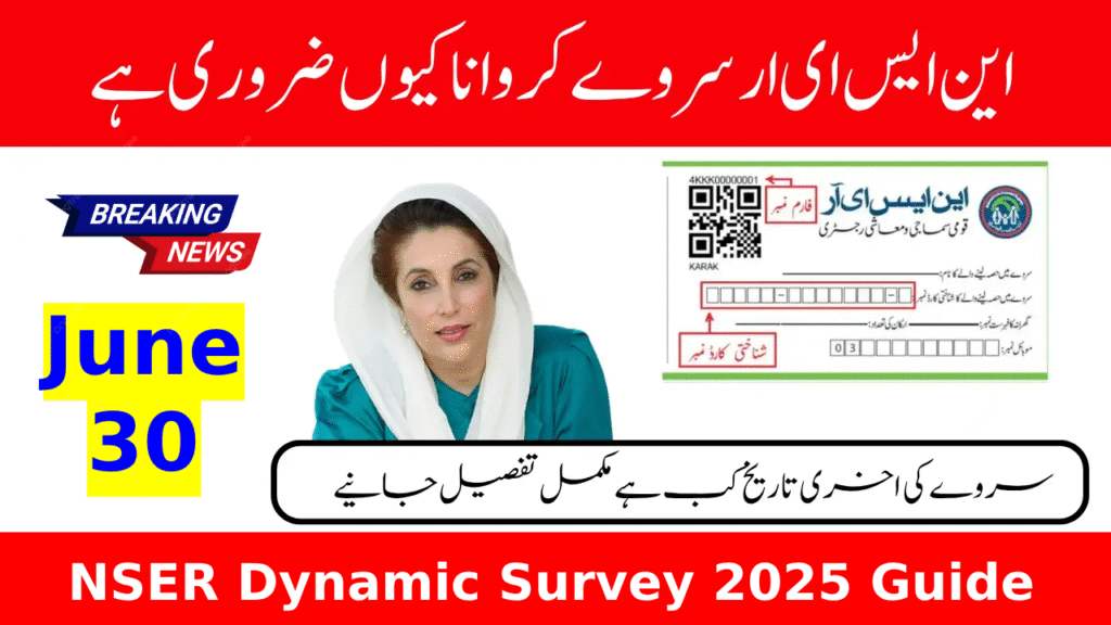 NSER Dynamic Survey 2025 Guide