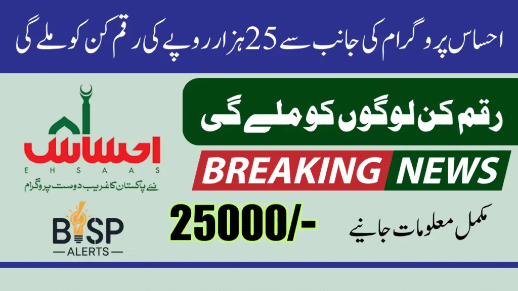How to Get 25000 from 8171 Ehsaas Program BISP – Complete Guide 2025