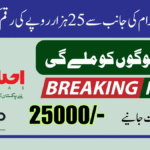 How to Get 25000 from 8171 Ehsaas Program BISP – Complete Guide 2025