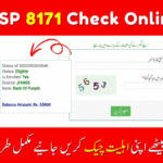Ultimate Guide to 8171 Check Online 2025 – Simple, Easy & Updated!
