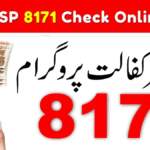 8171 Check Online 2025 | How to Register, Verify Eligibility & Get Payments Under the 8171 Ehsaas Program