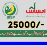 Ultimate Guide to the 8171 Ehsaas Program 25000 BISP