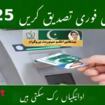 How to Verify Your BISP Card Quickly and Easily: Complete Guide
