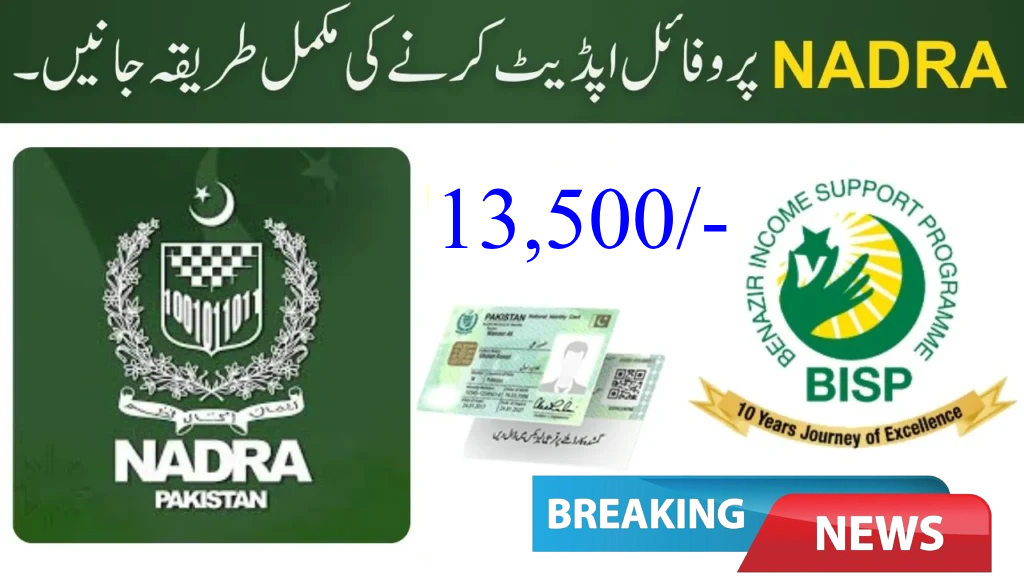 Your Friendly Guide to Ehsaas Program NADRA Registration 8171 in 2025