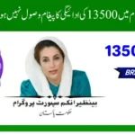 8171 SMS Not Received? Check Your BISP Rs 13500 July Payment Now!