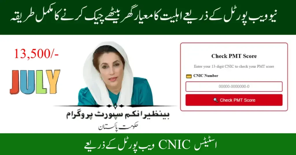 8171 Online Check: CNIC Status Via Web Portal (July 2025 Guide)