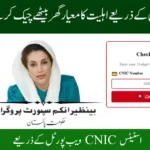8171 Online Check: CNIC Status Via Web Portal (July 2025 Guide)
