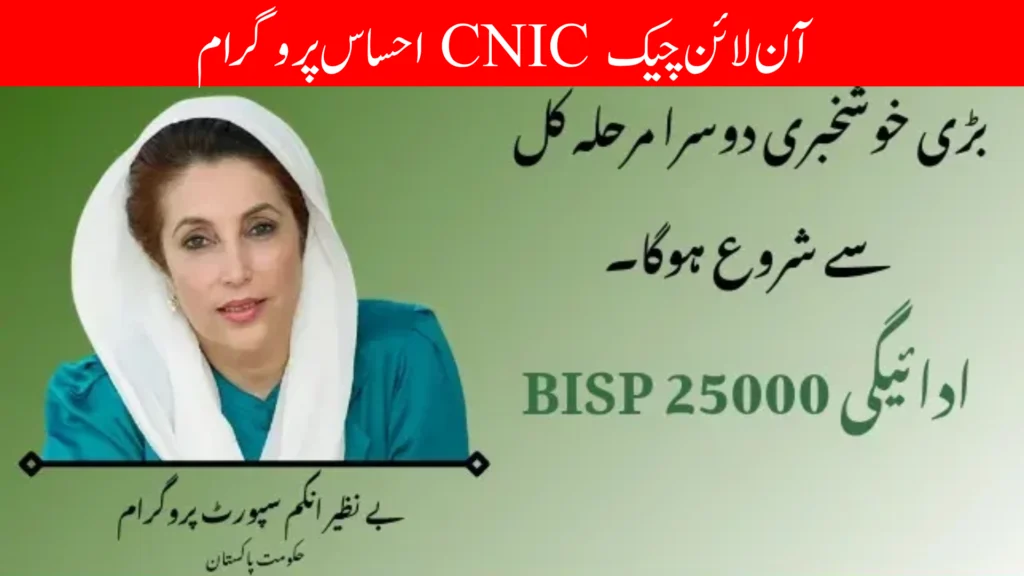 Ehsaas Program CNIC Check Online 25000 2025 — Full Guide
