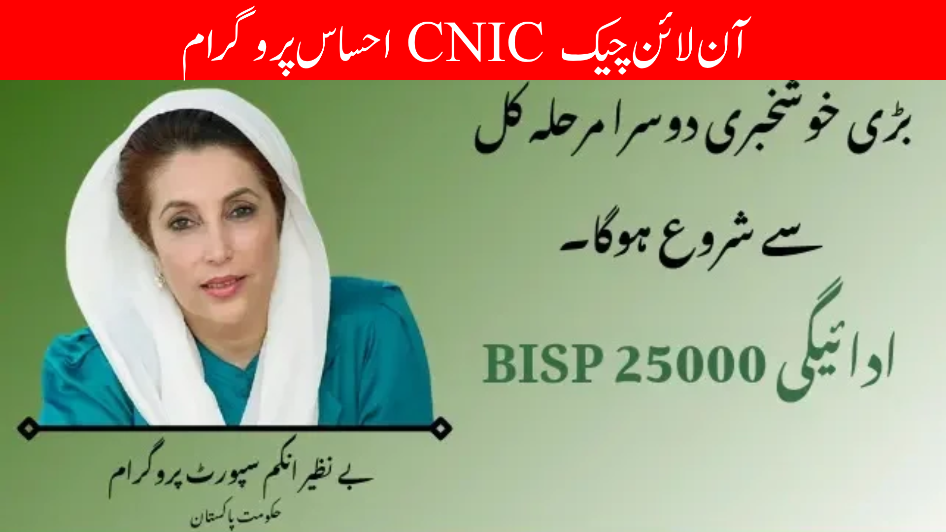 Ehsaas Program CNIC Check Online 25000 2025 — Full Guide