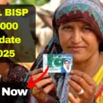 8171 Ehsaas Program 25000 CNIC Check Online – Full Guide 2025