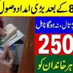 8171 Web Portal 2025 How to Check EhsaasBISP Payments Online