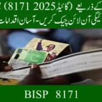 Check BISP Payment Online by CNIC (8171 Guide 2025) – Easy Steps