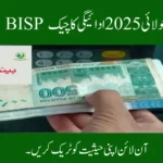 BISP July 2025 Payment Check – Track Your Status Online or by CNIC (8171)