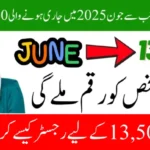 BISP June 2025 Missed Payment: How to Register for 13,500 Today