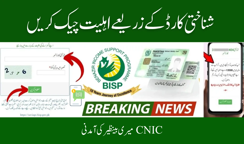 How Can I Check My Benazir Income by CNIC? A Friendly 2025 Guide