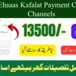 BISP Ehsaas Kafalat Payment Collection Channels