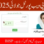 BISP Web Portal Not Working? Quick Ways to Check CNIC for July BISP Payment