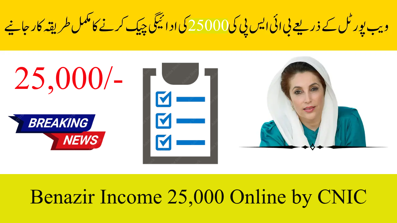 How Can I Check My Benazir Income 25,000 Online by CNIC in 2025?