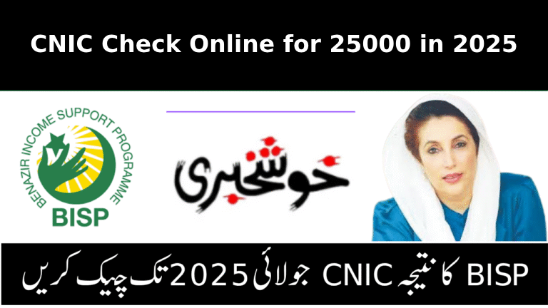 How to Do Ehsaas Program CNIC Check Online for 25000 in 2025