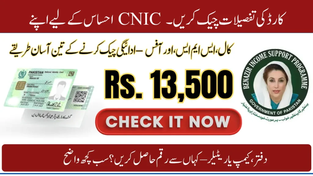 How to Check Your CNIC Card Details for the Ehsaas Program in 2025