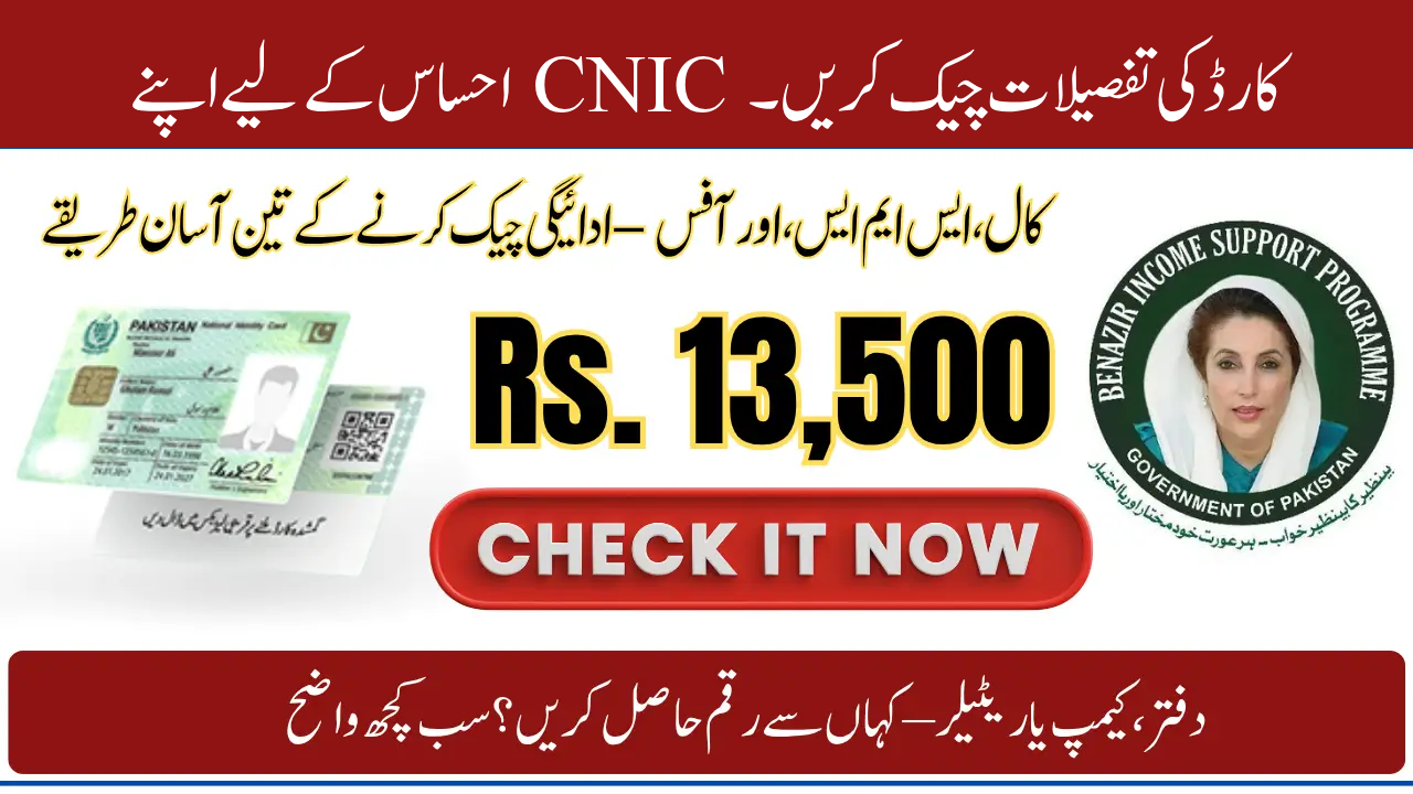 How to Check Your CNIC Card Details for the Ehsaas Program in 2025