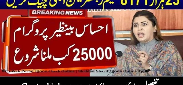 Ehsaas Program 25000 BISP How to Apply & Check Eligibility via 8171 (2025 Update)