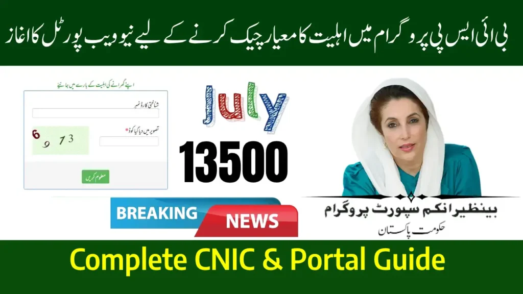 How to Check BISP Balance Online July 2025 – Complete CNIC & Portal Guide