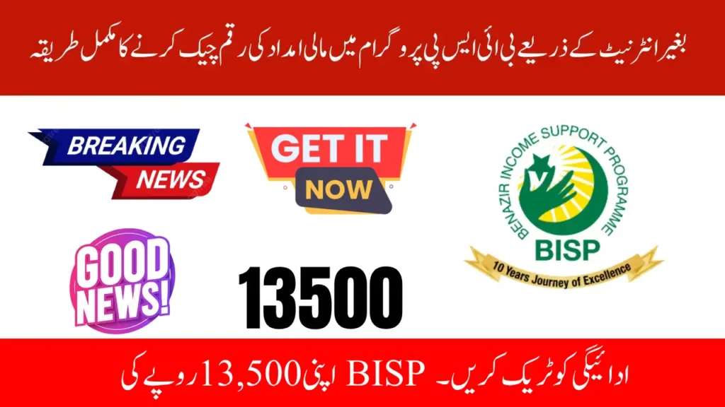 How to Confirm 8171 CNIC in 2025 and Track Your Rs 13,500 BISP Payment