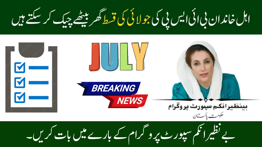 Your Simple Guide to 8171 Check Online CNIC 2025 Benazir Income Support
