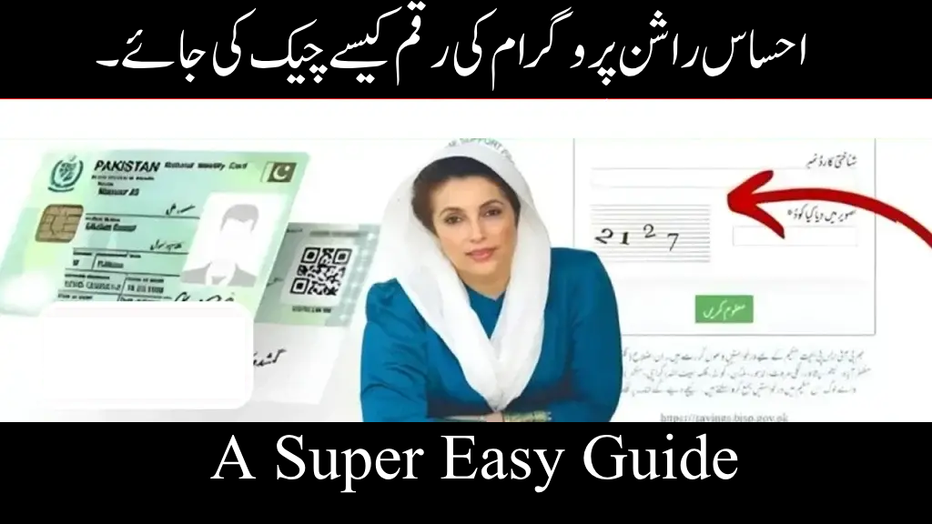 How to Check Ehsaas Rashan Program Money in 2025 | A Super Easy Guide