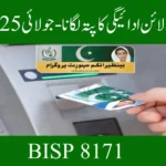 BISP 8171 Offline Payment Tracking – July 2025